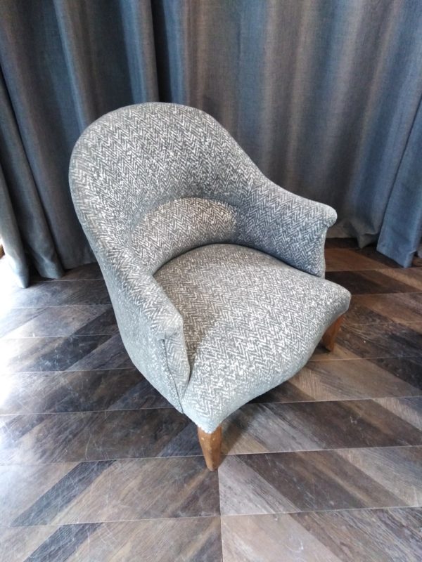 Crapaud petit Crapaud à chevrons