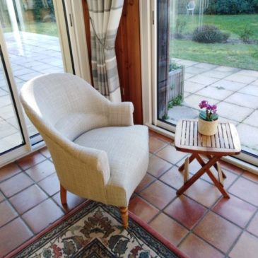 crapaud-bonifacio-apres